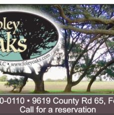 Foley Oaks RV 2