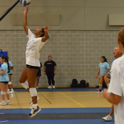 Ace volleyball 21