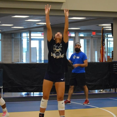 Ace volleyball 24