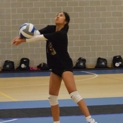 Ace volleyball 8
